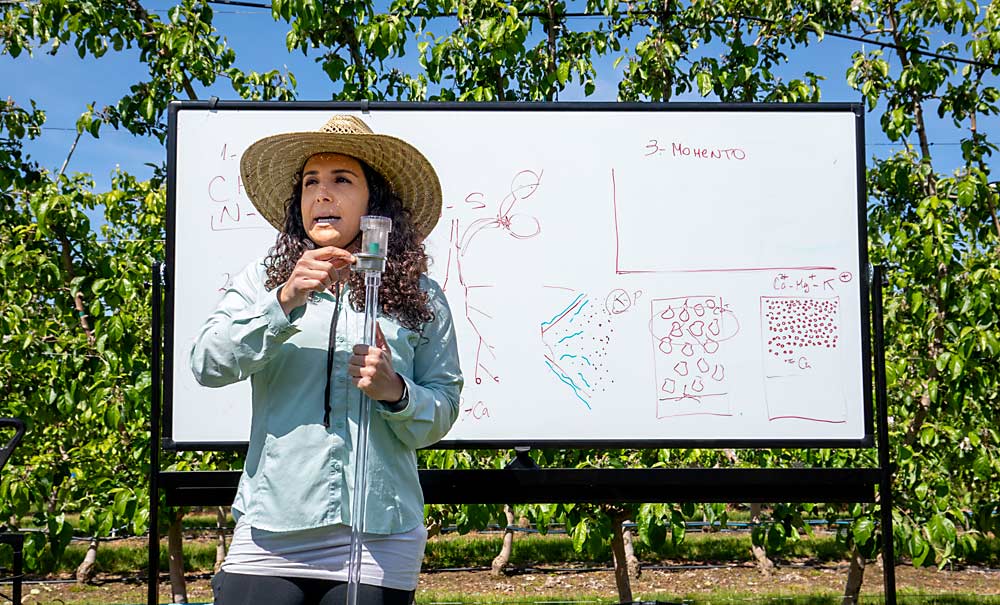 María Zamora Re de la Universidad Estatal de Oregon describe el funcionamiento de un tensiómetro, un sensor de riego que mide el esfuerzo que debe hacer una planta para absorber el agua del suelo, durante una jornada de campo en español en la huerta de investigación Roza de la Universidad Estatal de Washington, cerca de Prosser, en mayo de este año. (TJ Mullinax/Good Fruit Grower)