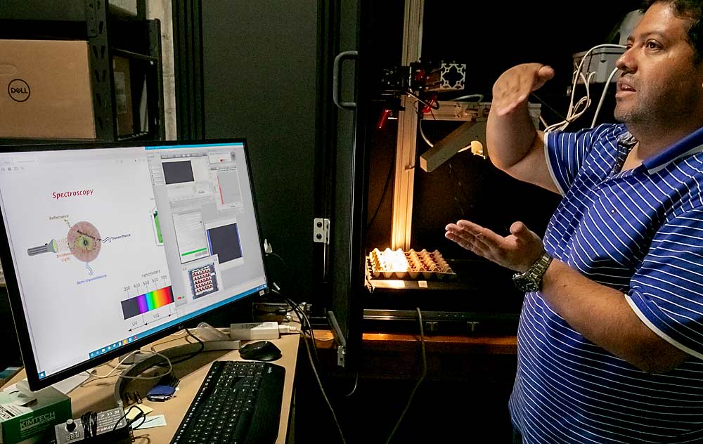 El científico postdoctoral Rene Mogollon explica cómo la cámara hiper-espectral que escanea una bandeja de fruta (al fondo) analiza un amplio espectro de longitudes de onda de la luz -más allá de las bandas visibles por el ser humano- que rebota en las cerezas. Las diferencias en determinadas longitudes de onda pueden identificar diferencias de firmeza que son indetectables para el ojo humano. (TJ Mullinax/Good Fruit Grower)