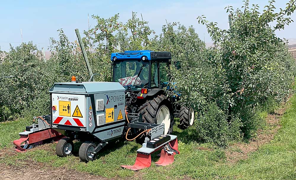 Una desyerbadora eléctrica Zasso en una huerta de manzanos cerca de Quincy, Washington, en agosto del 2023. Burrows Tractor ha probado la desyerbadora, que mata la mala hierba con corrientes eléctricas, en huertas de manzanos y campos de lúpulo (jape). Investigadores de la Universidad Estatal de Oregón (OSU) están probando la máquina en los arbustos de arándanos. (Cortesía TJ Lange/Burrows Tractor)