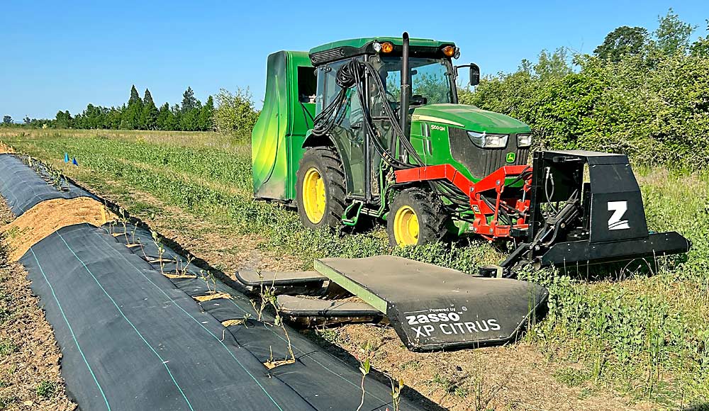 La desyerbadora Zasso en un campo de arándanos de la empresa agrícola Lewis-Brown de la OSU, en Corvallis, el verano pasado. Esta versión de la desyerbadora, llamada XP Citrus, se desarrolló para las huertas de fruta cítrica de Sudamérica. (Cortesía Luisa Baccin/Oregon State University)