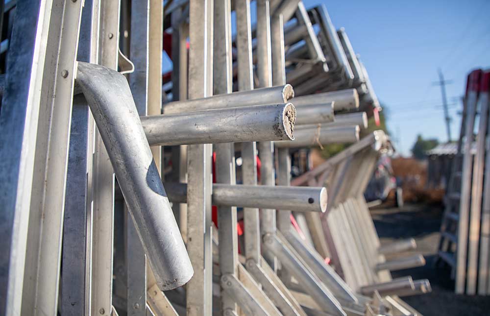 Las escaleras de huerta sufren daños. Rich Shenyer, propietario de Grandview Ladders, en el valle de Yakima, Washington, tiene problemas para atender las reparaciones y a la vez los pedidos de nuevas escaleras. (Ross Courtney/Good Fruit Grower)