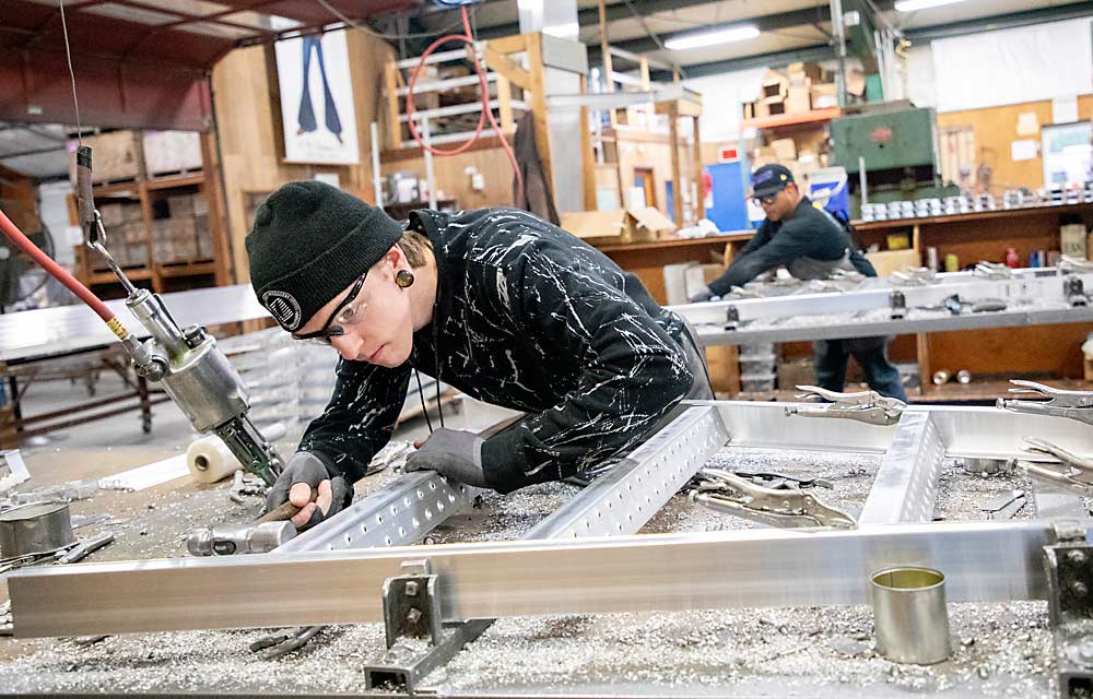 En noviembre del año pasado en Hood River, Oregón, Jeremiah Hart, a la izquierda, y Jesús Padilla construyen nuevas escaleras en Tallman Ladders. Mientras la industria frutícola se mecaniza y se automatiza, unas pocas empresas de EE. UU. siguen construyendo miles de escaleras cada año, la mayoría a mano. (Ross Courtney/Good Fruit Grower)