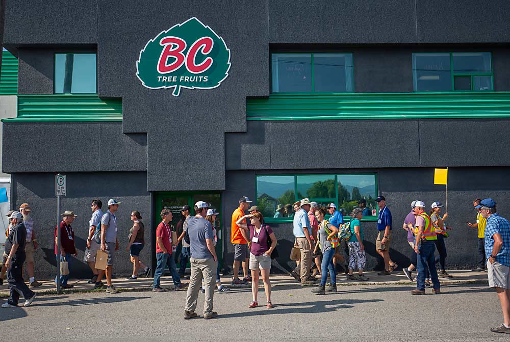 En el 2018, la Asociación Internacional de Árboles Frutales visitó las instalaciones de la empacadora de fruta de BC Tree Fruits en Kelowna, Columbia Británica. Eran momentos más felices. En julio de este año la cooperativa, que empacaba la gran mayoría de la cosecha de manzanas de la provincia, anunció un cierre repentino. (TJ Mullinax/Good Fruit Grower)