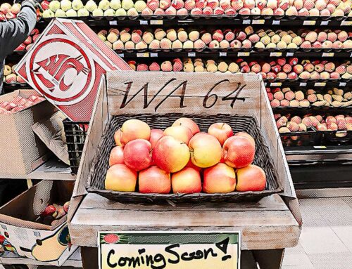 El mercado se prepara para la próxima manzana procedente de Washington