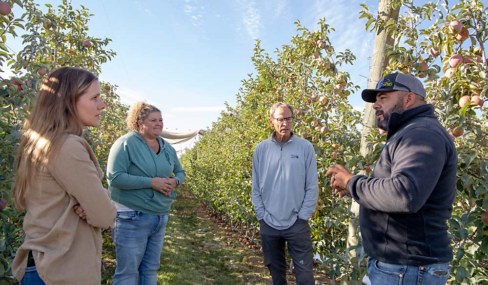 Segundo por la derecha, Tom Gausman escucha al gerente de la huerta Cesar Ortiz hablar sobre la maduración de manzanas de la variedad Honeycrisp con las representantes de clientes inversionistas Maryellen Zeise, izquierda, y Kari Rickenbach en septiembre en White Alpha Orchard, cerca de Ephrata, Washington. El aumento de la inversión externa en la industria frutícola del estado significa más administradores hortícolas profesionales como Gausman, cofundador y vicepresidente saliente de AgriMACS. (Ross Courtney/Good Fruit Grower)