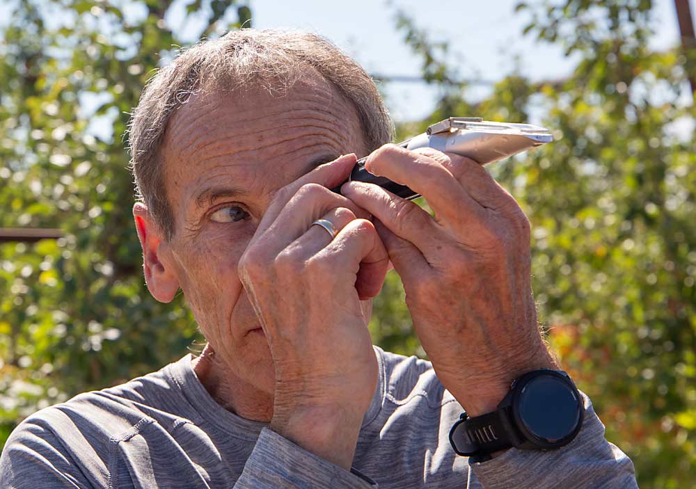 Gausman utiliza un refractómetro para comprobar la madurez de manzanas de la veriedad Honeycrisp en White Alpha. (Ross Courtney/Good Fruit Grower)