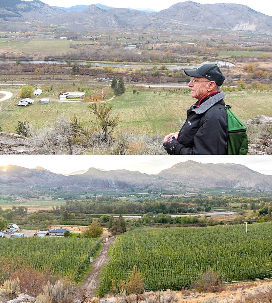 Arriba, Ken Gausman, padre de Tom, contempla las vistas de su antigua casa y huerta durante una excursión en el 2013, cuando la tierra estaba en barbecho en preparación para una replantación. Desde entonces, la huerta se ha plantado con manzanas de la variedad Honeycrisp en espaldera, como se muestra en la parte inferior en esta foto de Good Fruit Grower del año 2020. (Foto superior por cortesía de Tom Gausman; foto inferior Ross Courtney/Good Fruit Grower).