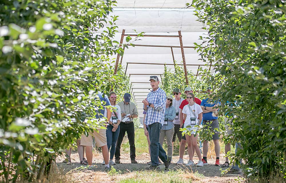 En el 2022, Gausman dirige una visita de la Asociación Internacional de Árboles Frutales en Monument Hills. (TJ Mullinax/Good Fruit Grower)