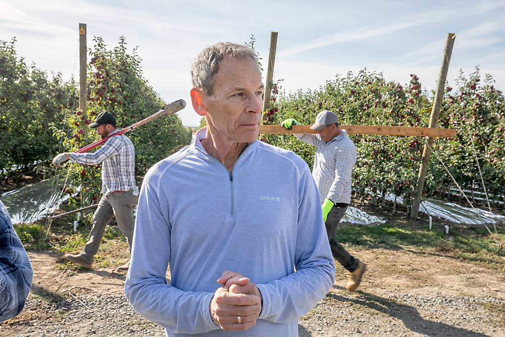 Durante una visita en octubre a White Alpha Orchard, cerca de Ephrata, Washington, Tom Gausman, vicepresidente saliente de AgriMACS, comprueba que todo va bien en el trabajo. Su experiencia en la horticultura y su don de gente le han valido para ganar el premio al Productor del Año 2024 de Good Fruit Grower. (TJ Mullinax/Good Fruit Grower)