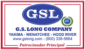 G.S. Long Company logo