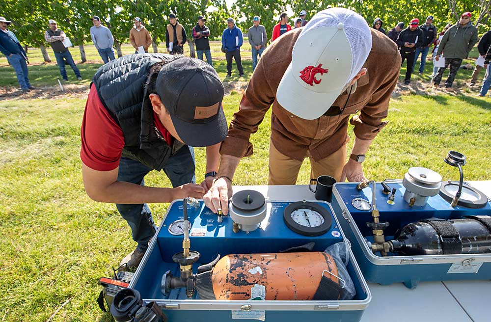 En mayo de 2024 en un día de campo en el huerto de investigación Roza de la Universidad Estatal de Washington (WSU), cerca de Prosser se ve de izquierda a derecha, el estudiante de postgrado Juan Munguía y el fisiólogo de frutales Matt Whiting mientras preparan una cámara de presión para una demostración. (TJ Mullinax/Good Fruit Grower)