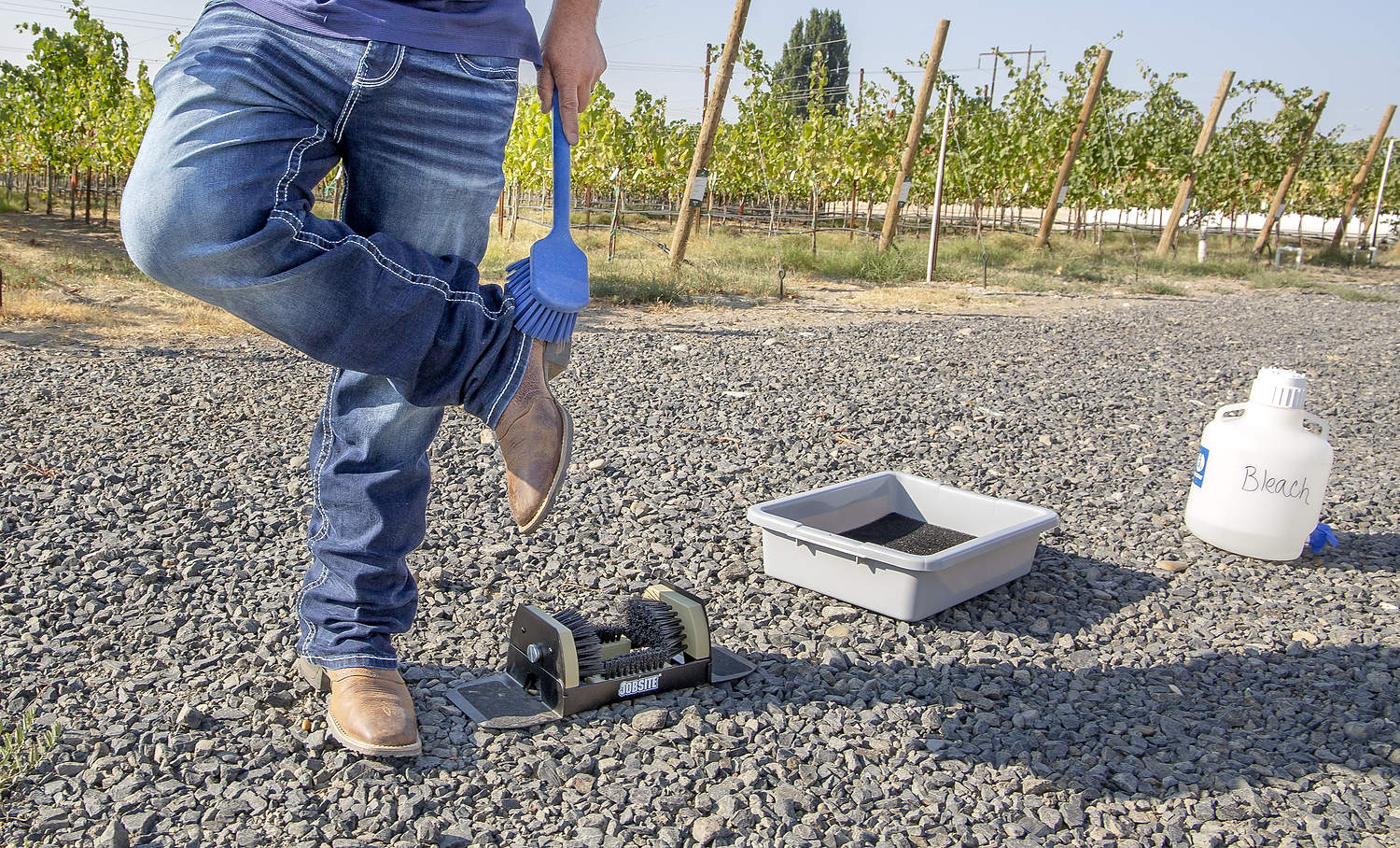 En septiembre, Rigoberto Moreno, encargado de Inland Desert Nursery, muestra técnicas fitosanitarias para lavar botas en un viñedo de la sede de la empresa, cerca de Benton City, Washington.