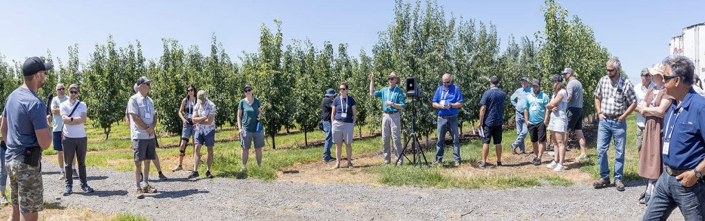 El productor Nelson Thwaites, a la izquierda, conversa con los visitantes de la IFTA sobre las huertas de perales de alta densidad que su familia cultiva cerca de Niagara-on-the-Lake, Ontario. (Matt Milkovich/Good Fruit Grower)