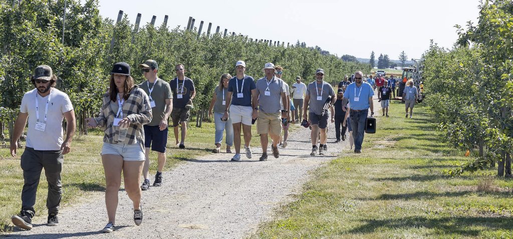 En julio de 2025, la Asociación Internacional de Fruta de Árboles (IFTA) realizó su viaje de estudios de verano 2025, durante el cual visitó huertas y otras empresas frutícolas en Ontario, Canadá. En Versteegh Orchards, ubicada cerca de Londres, una pequeña ciudad en el suroeste de Ontario, el grupo aprendió sobre el raleo, los reguladores del crecimiento vegetal, los suelos y los portainjertos. (Matt Milkovich/Good Fruit Grower)