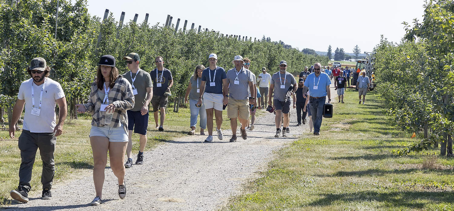 En julio de 2025, la Asociación Internacional de Fruta de Árboles (IFTA) realizó su viaje de estudios de verano 2025, durante el cual visitó huertas y otras empresas frutícolas en Ontario, Canadá. En Versteegh Orchards, ubicada cerca de Londres, una pequeña ciudad en el suroeste de Ontario, el grupo aprendió sobre el raleo, los reguladores del crecimiento vegetal, los suelos y los portainjertos. (Matt Milkovich/Good Fruit Grower)