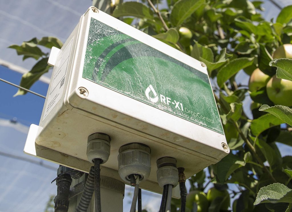 El sistema DropControl de WiseConn controla los aspersores automatizados y los nebulizadores aéreos según las indicaciones de los algoritmos de programación de riego de Swan. (TJ Mullinax/Good Fruit Grower)