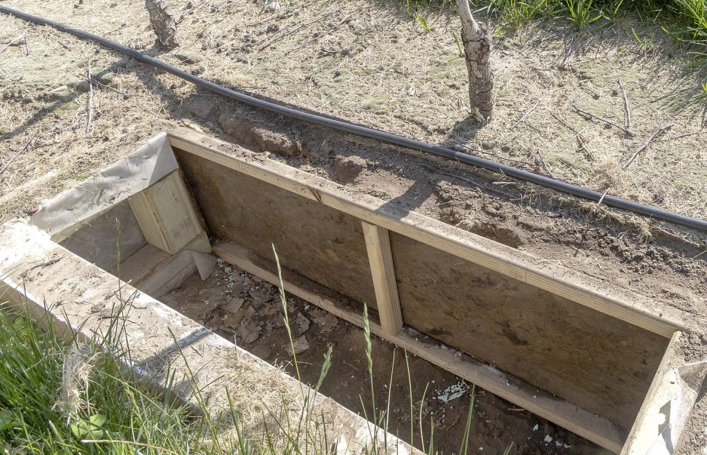 Una caja para observar raíces en el bloque de investigación de manzanos de alta densidad en Hart. Estas cajas permiten a los investigadores monitorear el crecimiento y la ubicación de las raíces, factores que influyen en la capacidad de los árboles para absorber agua. (Matt Milkovich/Good Fruit Grower)