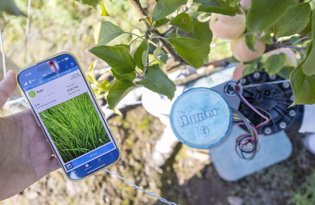 Kristen DeMarree utiliza una aplicación en su teléfono inteligente de Hunter Irrigation para programar el riego por goteo. Las válvulas solenoides de Hunter se conectan por Bluetooth, de modo que puede controlar cada zona de riego de forma remota. Según explica, antes tardaban hasta 30 horas a la semana en abrir y cerrar manualmente las válvulas de riego. El nuevo sistema ahorra muchas horas de trabajo. (TJ Mullinax/Good Fruit Grower)