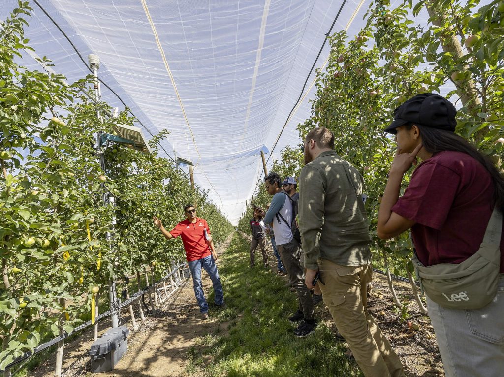 Eddie Mendoza, de Dynamax (a la izquierda), habla sobre los sensores de su empresa que se incluyeron en el bloque de manzanas WA 38 en el ensayo de riego. (TJ Mullinax/Good Fruit Grower)