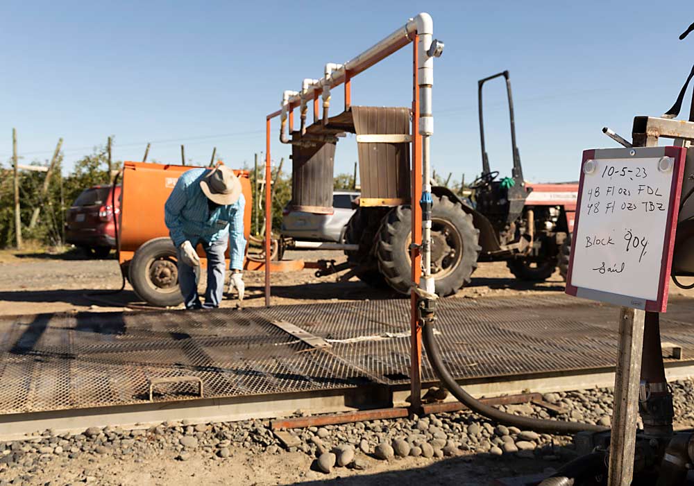 A diferencia de los drenchers de almacén, que recirculan el agua de forma continua, el drencher de campo de Matson recoge el agua en una estructura de acero poco profunda situada debajo de una parrilla fija. Según Matson, esta agua debe reemplazarse después de unos 200 contenedores. Un drencher es básicamente una estación de ducha de fungicida. (Kate Prengaman/Good Fruit Grower)