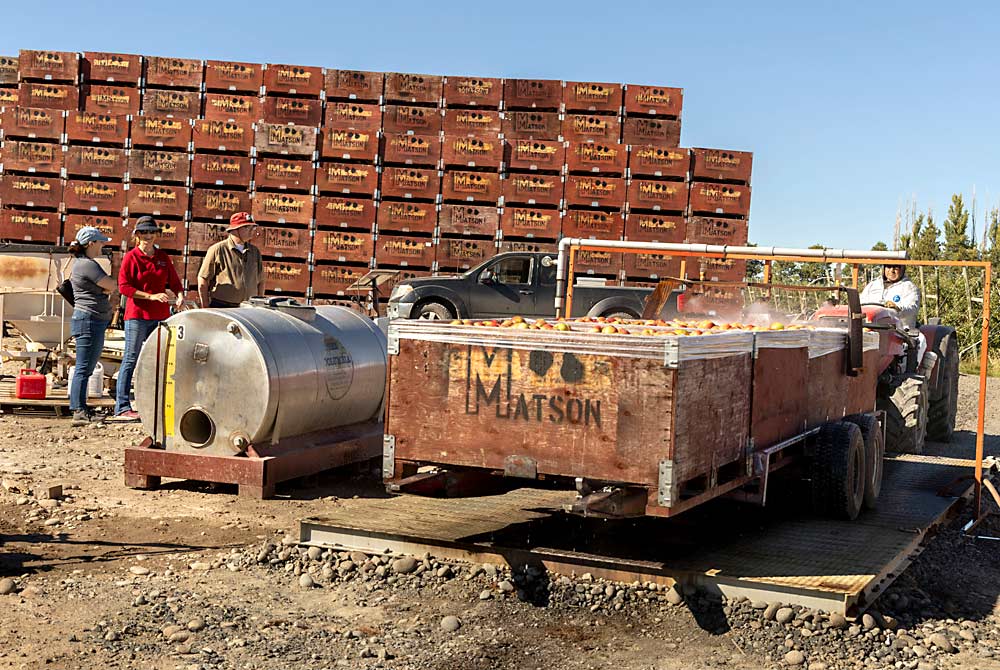 En octubre de 2023, en una huerta de Matson Fruit en Selah, Washington, el productor Jason Matson explicó a un grupo de investigadores el diseño de su sistema para rociar la fruta con fungicida. El sencillo diseño permite realizar la aplicación postcosecha con una contaminación cruzada mínima. (Kate Prengaman/Good Fruit Grower)
