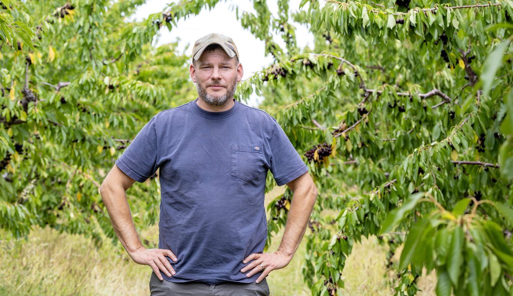 Ian Chandler, presidente de la Comisión de Cerezas Dulces de Oregón (Oregon Sweet Cherry Commission), aparece en un bloque de cerezos Bing que arrienda en The Dalles, Oregón. (TJ Mullinax/Good Fruit Grower)