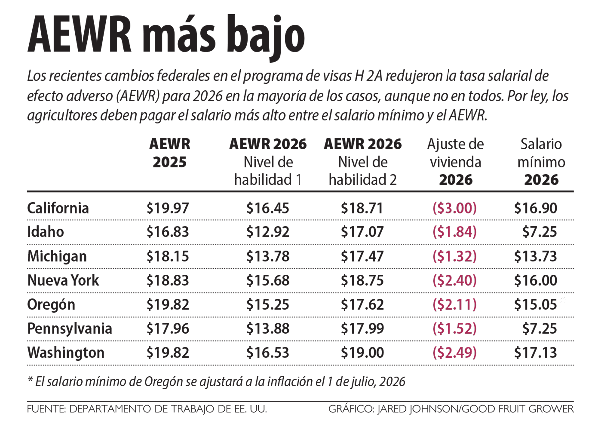 Gráfico que muestra los resultados de los cambios recientes en la tasa salarial de efectos adversos (AEWR) y los salarios H-2A. (Fuente: Departamento de Trabajo de EE. UU.; Gráfico: Jared Johnson/Good Fruit Grower)