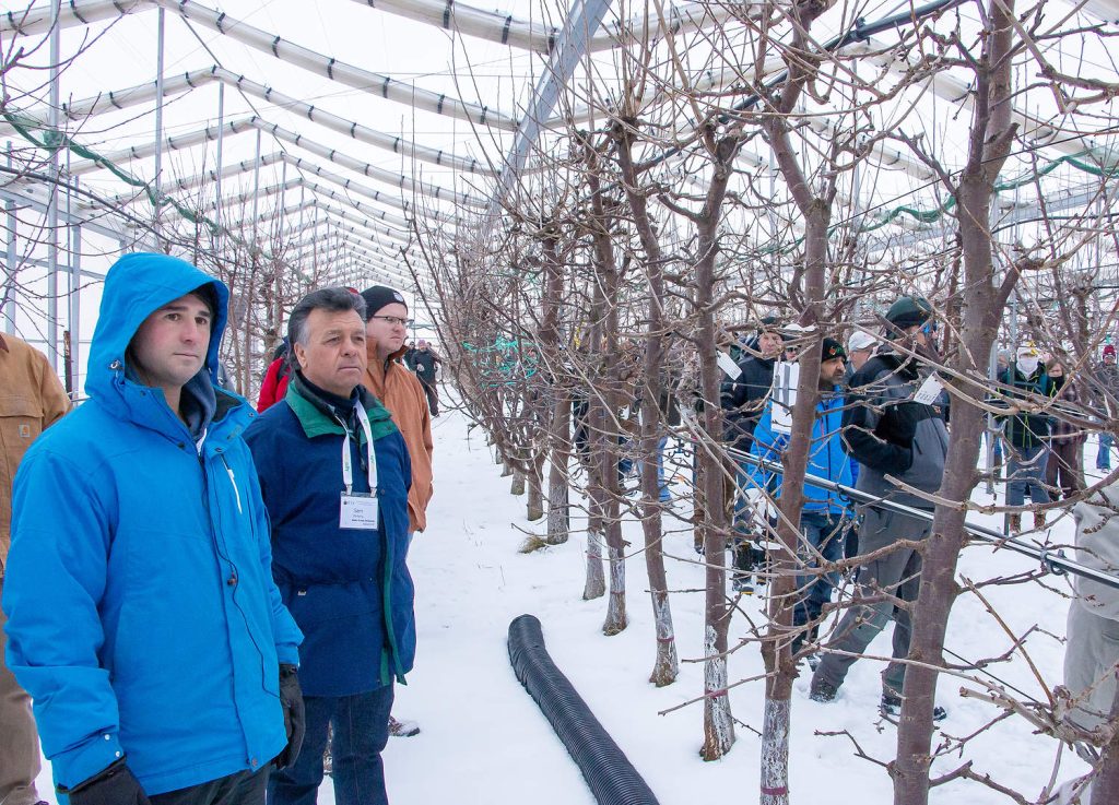En febrero de 2020, durante la visita de la IFTA a Míchigan, los participantes estuvieron en el Centro de Investigación de Clarksville de la MSU, donde el actual presidente de la junta directiva, Kyle Ardiel (a la izquierda), y el productor Sam DiMaria escucharon al profesor Greg Lang, de la MSU (no aparece en la foto), hablar sobre la producción de cerezas bajo cubiertas. (TJ Mullinax/Good Fruit Grower)