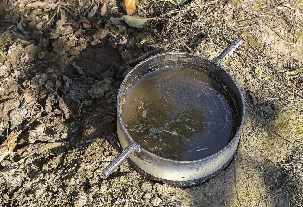 La infiltración del agua es mucho más lenta en el suelo sin cobertura del tratamiento estándar, en comparación con el tratamiento con cobertura orgánica. Durante una demostración en 2024, los asistentes observaron cómo esta muestra tardó casi 5 minutos en infiltrarse. (Kate Prengaman/Good Fruit Grower)