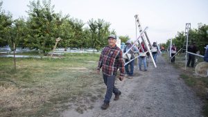 Lupe Muñoz, quien lleva muchos años trabajando como encargado de una huerta en el centro de Washington