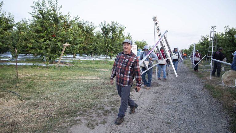 Lupe Muñoz, quien lleva muchos años trabajando como encargado de una huerta en el centro de Washington