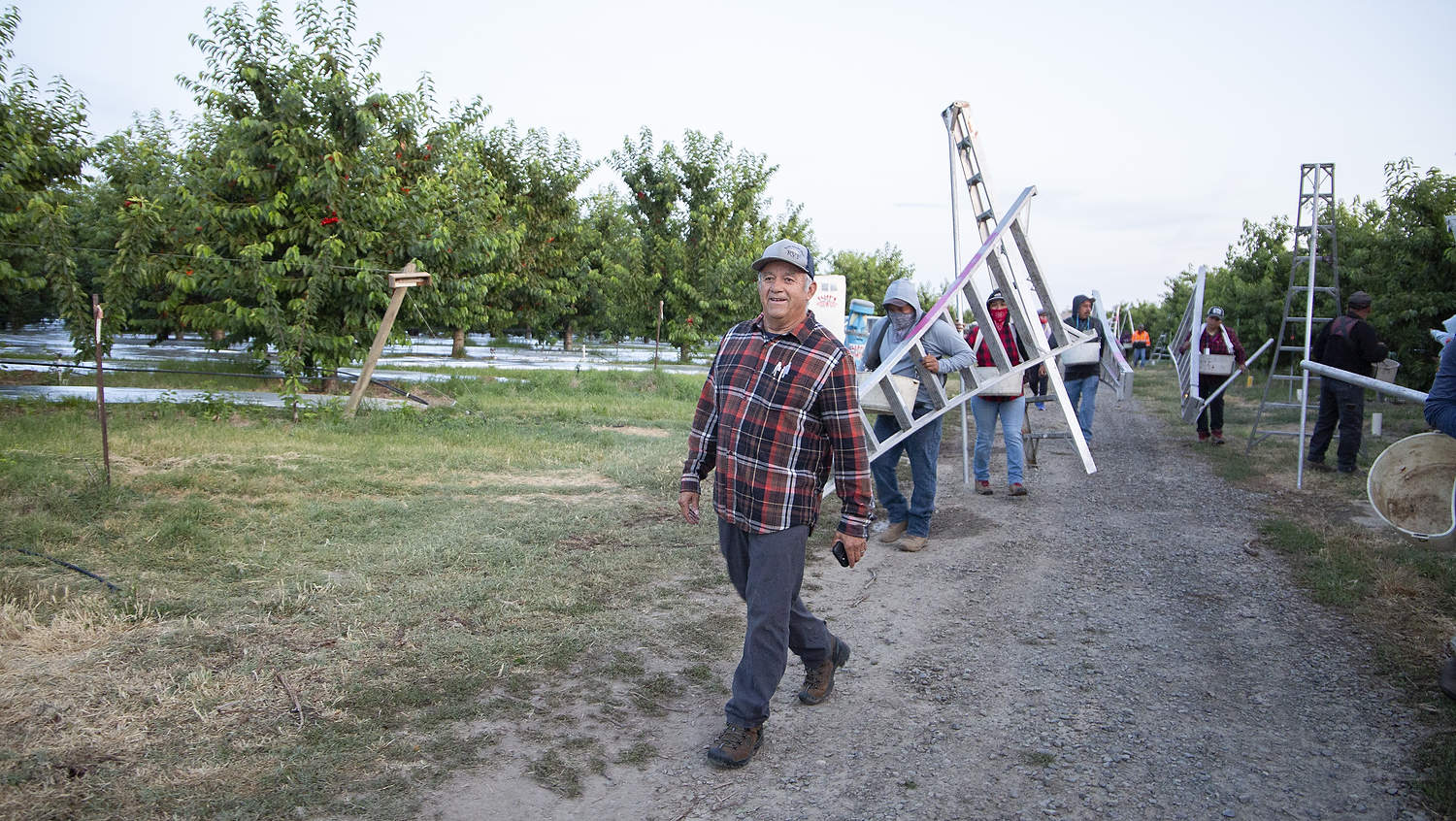 Los jefes del sector frutícola de Washington