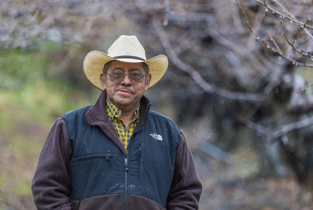 Faustino Barrios, un productor de cerezas de East Wenatchee