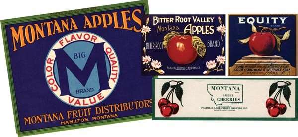 The Big M Brand is a beautiful example of a  rare Montana label; it  bears the production date  of September 30, 1932, by Traung Label Company.  Bitterroot Valley, printed by Schmidt Lithographic Company, and Equity are equally attractive apple labels. 