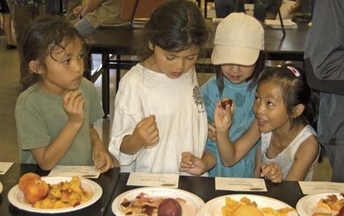 Children enjoy novel hybrid fruits during a tasting at California Polytechnic State University in  San Luis Obispo.