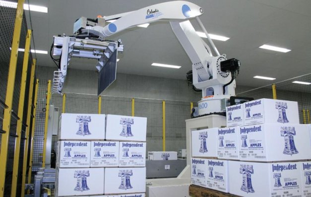 Robots scan the barcodes of packed boxes of apples and stack 49 on each pallet, ready for shipping.