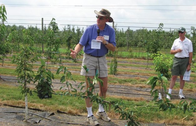 This test planting, made early last year, looked like this already in July. Greg Lang shows off a UFO tree.