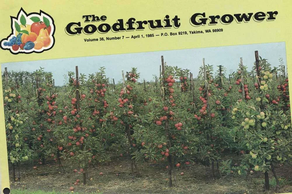 1985: Report on Dutch tree fruit highlights Dwarf meeting 1985.04.01-Cover-Dwarfing-Rootstock-1-of-7-feat