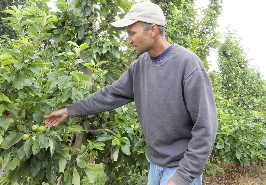 A fourth-generation grower, Mike Wittenbach planted his first Minneiska trees in 2009. He said he’s still learning, but he is pleased with the decision to try a managed apple on his south west Lower Michigan farm. <b>(Photo by Leslie Mertz)</b>