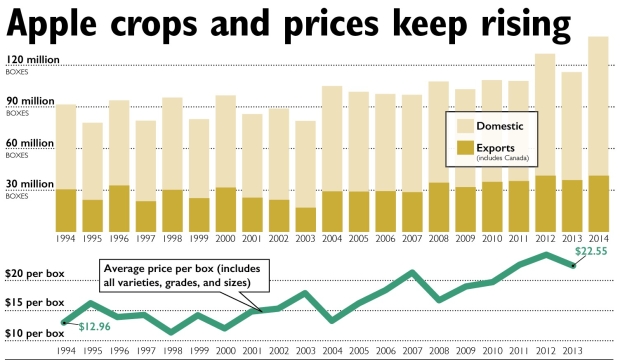 Prices for Washington apples have stayed strong as volumes increase. The state exports about a third of its crop. Source: Washington Apple Commission, Washington Growers Clearing House Association, and Washington State Tree Fruit Association. <b>(Jared Johnson/Good Fruit Grower illustration)</b>