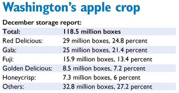 Washington's apple crop, Source: U.S. Department of Agriculture, Agricultural Marketing Service