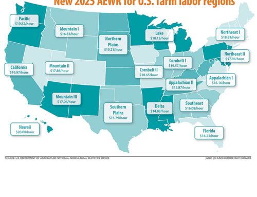 Widespread wage increases for US growers