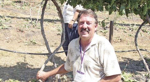 Lonnie Wright stands by his century-old Zinfandel vines. Although the vine trunks are fairly small in diameter for the vine's age, due to regrowth from numerous winter freezes, the bases of the trunks are thick and burly.