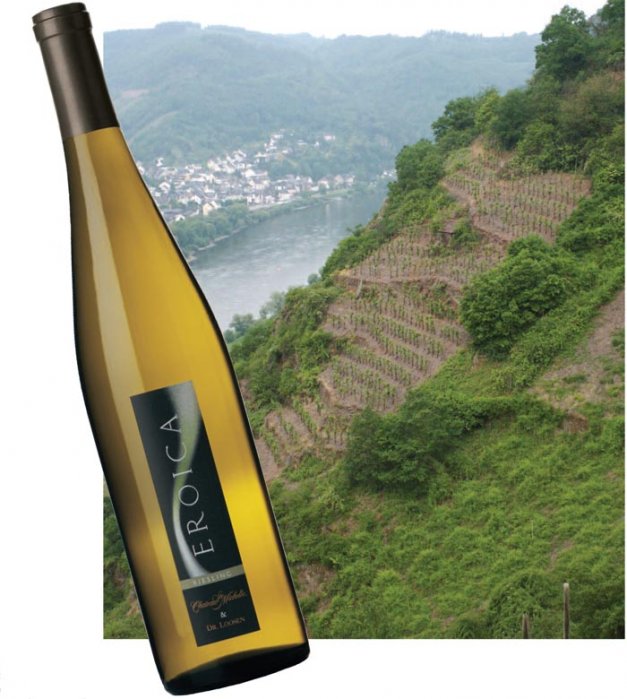 A typical Riesling vineyard in Germany’s Mosel region. Some of the steepest vineyards in the world are found in Germany.