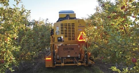 This prototype of a self-propelled apple picking system (pictured from the front) has four tubes at the rear that transport apples from the picker up to a scanner that sorts the culls from the packable fruit. This photograph was supplied by Oxbo. Good Fru