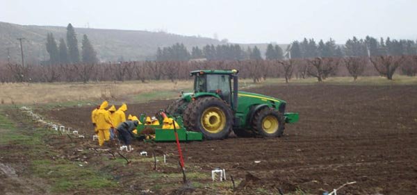 Yakima Valley Orchards designed and built its own three-row tree planting machine.