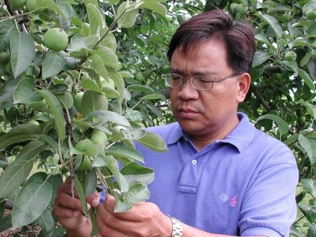 Dr. Rongcai Yuan made important contributions to understanding fruit abscission processes. He died a year ago of cancer at age 45.