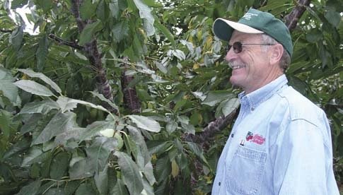 Norm Gutzwiler wants growers who put more time and effort into raising quality cherries to be rewarded.