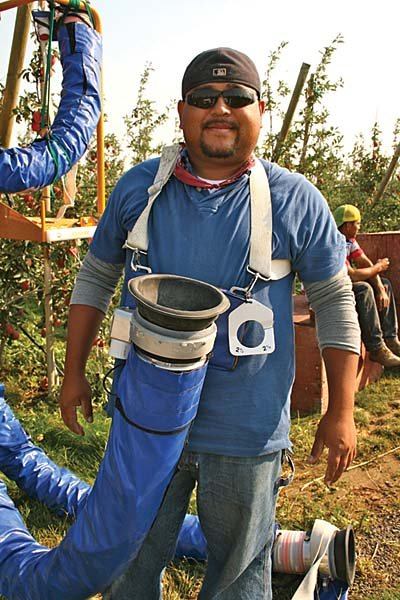 Miguel Geronimo found himself testing the new harvester during his first season as an apple picker. He previously worked in restaurants but was enjoying orchard work. 
