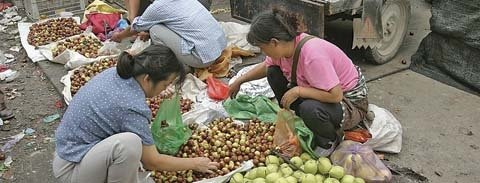 Shopping for fruit at a street market in China. 